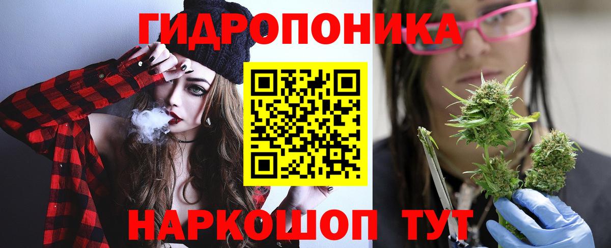 Бошки Шишки Amnesia Апатиты